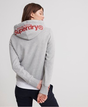 Superdry Modern Coral Label Hit Női Kapucnis Pulóver Szürke/Sötétkék | SFIGM7961